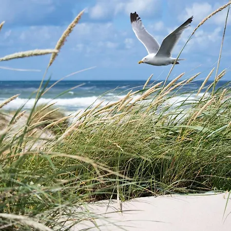 Apartment Lentezon For 2 People Knokke-Heist