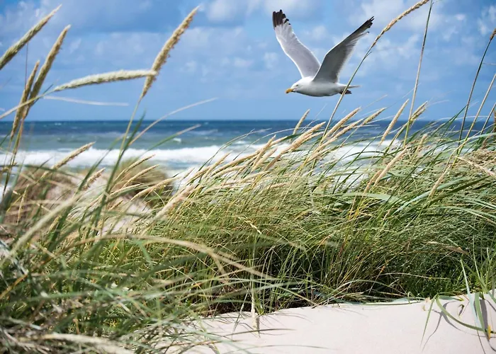 Apartment In With Sea Views Knokke-Heist